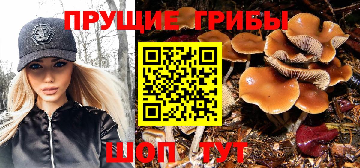 Псилоцибиновые грибы мухоморы  Вход с VPN  Галлюциногенные грибы мицелий  Абинск 